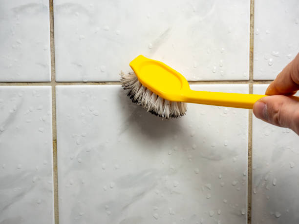 Best Professional Mold Removal  in Jackson, LA