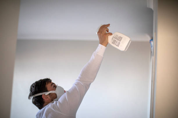  Jackson, LA Mold Removal Pros