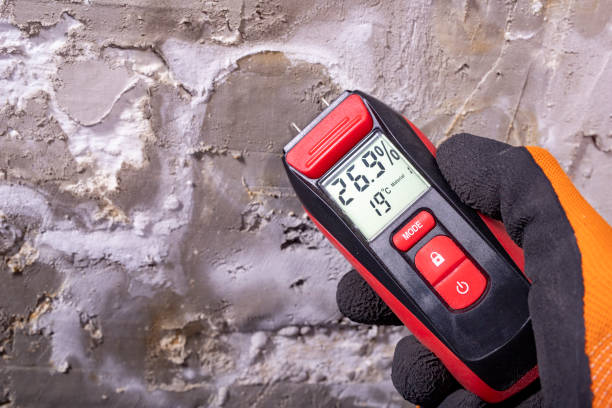 Best Mold Removal Process  in Jackson, LA