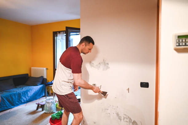 Best Mold Remediation Services  in Jackson, LA